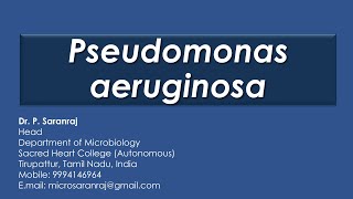 Pseudomonas aeruginosa [upl. by Eenwahs]