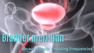 Bladder meridian  Binaural Beats  Healing Frequencies [upl. by Charlena]