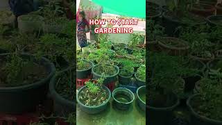 Terrace gardening midde thota harvest [upl. by Resneps]