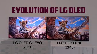 LG G1 Evo 65inch TV Review  The Evolution of LG OLED from 20162021 [upl. by Setiram353]