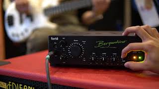 Strings Quick Demo  Bergantino Forte Bass Amp [upl. by Bertelli]