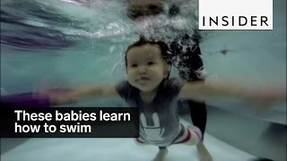 These babies get thrown into the deep end to learn how to swim [upl. by Sedicla523]