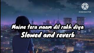 Maine Tera Naam Dil Rakh Diya Slowed  Reverb  Raghav Chaitanya Shreya Ghoshal  sonhmines115 [upl. by Harahs]