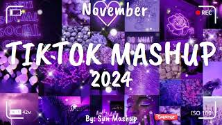 Tiktok Mashup November 💜2024💜 Not Clean [upl. by Echo429]