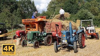 Holthaus Dreschmaschine von 1925  Feldtage am Traktorenmuseum Westerkappeln [upl. by Anah]