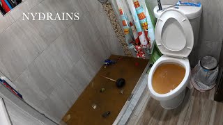 Clogged Drain 148 [upl. by Uhthna307]