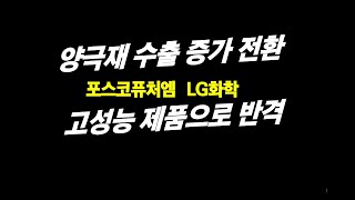 양극재 수출 증가 전환 포스코퓨처엠 LG화학 고성능 제품으로 반격 [upl. by Saref]