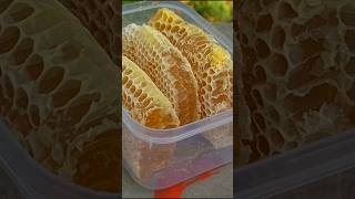 Do you like to eat honey comb like this  beekeeping honeybee beekeeper honeymarket honeycomb [upl. by Dnarb]