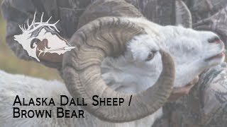 S10 E21  Alaska Dall SheepBrown Bear [upl. by Hortense]