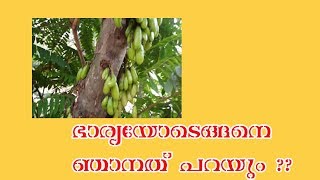 വേണെങ്കിൽ ഈ ബ്ലോഗ് കണ്ട് കാര്യം മനസ്സിലാക്കട്ടെ [upl. by Aneez239]