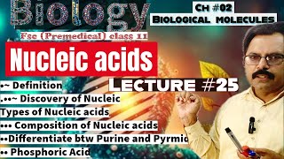 Nucleic Acids Definition Composition DNA RNA Biology class 11 Biomolecules in hindi amp Urdu [upl. by Ahtoelc]