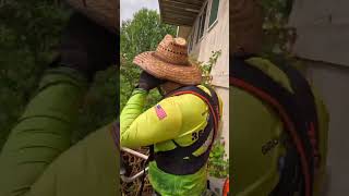 DRYER VENTS CLOGGED With BLACKBERRY VINES satisfying mowing [upl. by Adehsor]