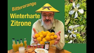 Winterharte Zitrone Bitterorange Genuss aus dem eigenen Garten [upl. by Constantia]