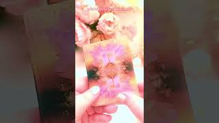 💞🌺 Mi segít ebben a helyzetben 🧚💖 tarot tarotcoach tarotkártya [upl. by Ethelin541]