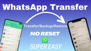 How to Transfer WhatsApp from Xiaomi to iPhone without Factory Reset 2024 tenorshare [upl. by Rebm]