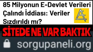 Sorgu paneli E devlet verileri çalındı mı  Web sitede ne var nasıl girilir sorgupaneliorg [upl. by Lleirbag226]