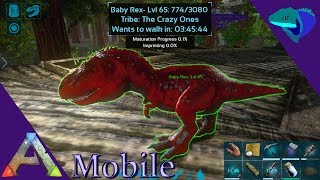 REX SPECIAL TAMING AND EGG HATCHING Ark Mobile S1E37 [upl. by Dann]