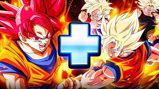 PHY DOKKANFEST GOD GOKU  LR PHY SSJ GOKU GOHAN amp TRUNKS DBZ Dokkan Battle [upl. by Mali]