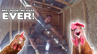 The Perfect Roosting Bars for Chickens Cheap DIY Natural Roosting Bars [upl. by Seidel]