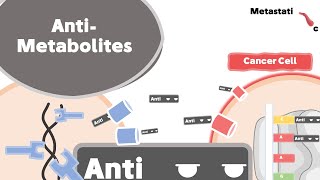 Antimetabolites Mechanism of Action [upl. by Potash]