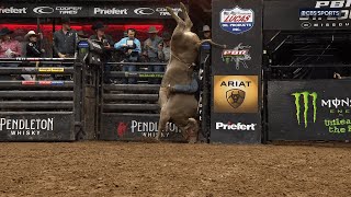 Beyond Belief WRECKs Unusual Bull Riding Handstand Elicits Universal WOWs [upl. by Kristen]