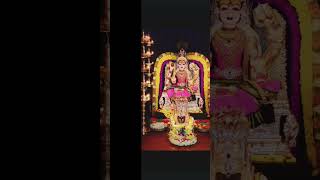 shorts ponniamman Kovil street chittoor  amma [upl. by Eiramnaej]