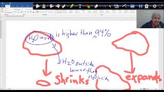 Survey of Chemistry 1– Chapter 7  2 Based on Our eBook [upl. by Salas205]