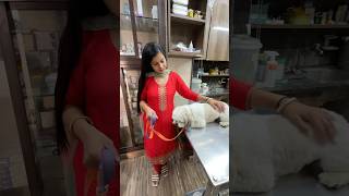 Hospital leke jana Pada Mortu ko Emergency Mai 🐶minivlog sanjhalikavlog dog doglover hospital [upl. by Kado586]