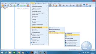 Prueba Binomial  SPSS [upl. by Sumaes]