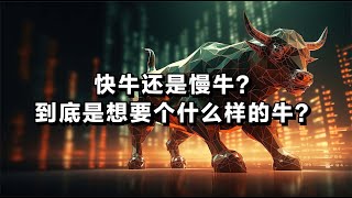 快牛还是慢牛？到底是想要个什么样的牛？ [upl. by Mixie]