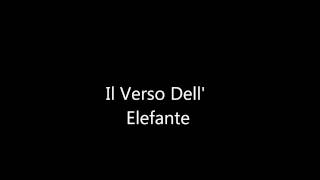 Il Verso DellElefante Video Interattivo [upl. by Giorgio374]