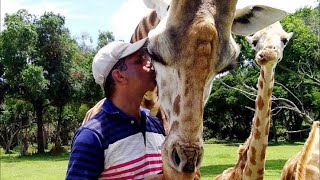 Why Giraffes are facing extinctionArti Kulkarni with Tushar Kulkarni worked in Africa US India [upl. by Ahsiel]