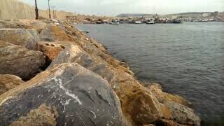 Salamandre mostaganem [upl. by Issy]