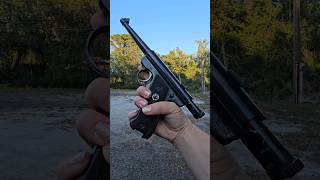 Ruger Mk1 quotBlack Eaglequot One of my favorite plinkers girlswithguns shorts guns 2a like guntube [upl. by Cykana]