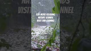 Hailstorm relaxing nature relaxingsounds naturesounds hailstorm hail [upl. by Dyun]