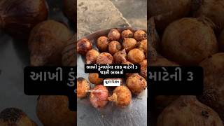 Akhi dungli nu shak😋 chulokathiyawadi onion foodie ytshorts [upl. by Sholem]