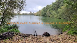 Autumn carp fishing  Linear fisheries [upl. by Ashlie]