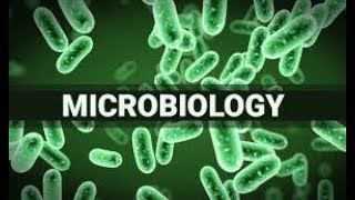 introduction to microbiology lecture 1 urdu hindi [upl. by Hagen]