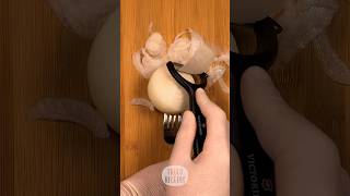 Tips de cocina CORTAR CEBOLLAS rápido con PELADOR [upl. by Annaed371]