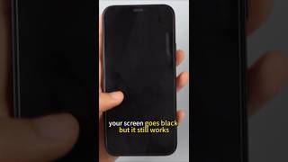 iPhone Black Screen？You Need To Deep Repair it！ [upl. by Aisenat264]