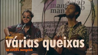 Gilsons  Várias Queixas Ao Vivo no Estúdio MangoLab [upl. by Deanna]