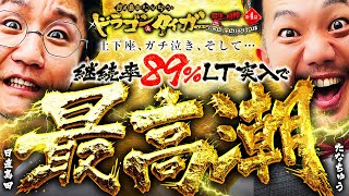 たなちゅうガチ泣き⁉ 日直島田ampたなちゅうドラゴン＆タイガー 最強の相棒 〜にゃんにゃんパラダイス編〜【第4話12】 simadaobasan pekarutv [upl. by Guinevere]