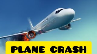 PLANE CRASHED WHILE LANDING  THE REAL VIDEO [upl. by Vinaya740]