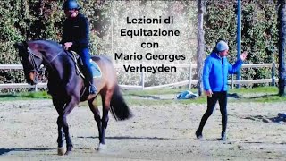 Equitazione online come gestire lansia di cavallo e cavaliere [upl. by Nnek]