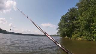 Fenwick HMX Casting Rod Review [upl. by Anabella]