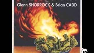 Glenn Shorrock amp Brian Cadd  Life Of Brian [upl. by Nonohcle]