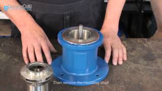 MAG DRIVE CENTRIFUGAL PUMP AISI 316 MOD HTM SS 316  TUTORIAL eng HD [upl. by Alford645]