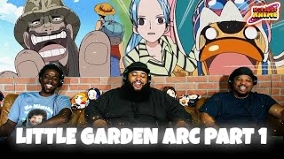 One Piece Little Garden part 1 Reaction [upl. by Trygve918]