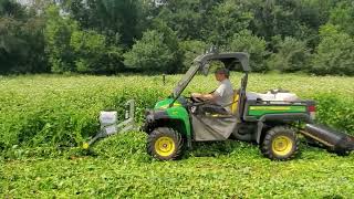 Front Mount Drop Seeding into Standing Buckwheat [upl. by Llij]