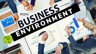 Business Studies Project file on quotBUSINESS ENVIRONMENT quot for class 12th [upl. by Merwyn]